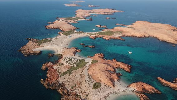 Daymaniyat Islands Snorkeling Sharing Trip