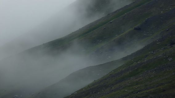 Stockholm horror walking tour