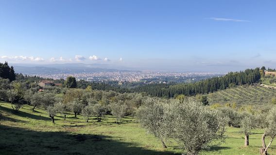 Half-Day Hiking Tour in Fiesole's Hills with Wine and Lunch