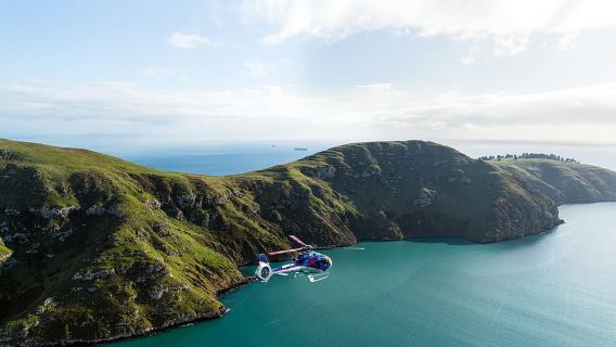 Tour in elicottero di Christchurch | Viste panoramiche di Garden City, della penisola di Banks e delle Alpi