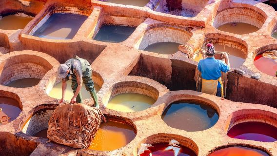 Visita guidata privata di Fez con pranzo da Casablanca