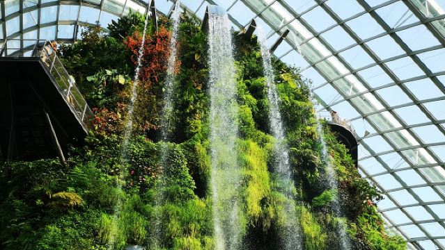 Tour privado nocturno por Singapur con visita a Gardens by the Bay y crucero por el río