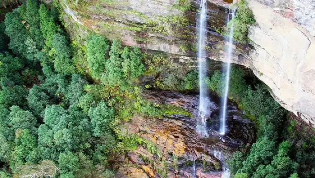藍山私人遊覽（含野生動物園）