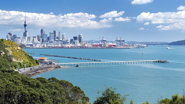 Half-day Discover Auckland City Sightseeing Tour