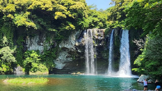 済州市南部ユネスコ日帰りツアー（漢拏山含む）