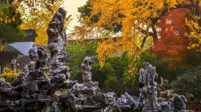 蘇州獅子林景區人工講解|獅子林導覽（門票自理可代約）