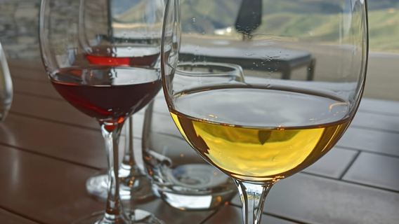 Oporto: tour gastronómico y vinícola de medio día por el valle del Duero