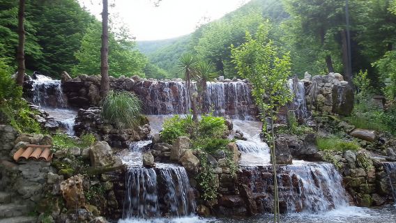 Istanbul: Full-Day Sapanca Lake and Masukiye Tour with Lunch