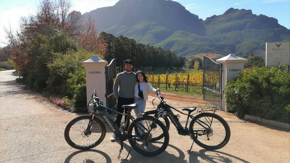 Stellenbosch: Stellenbosch E-Bike & Wine Tour (Shared Tour)