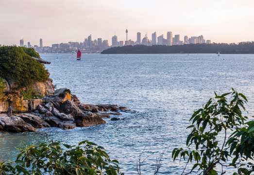 Sydney: Watsons Bay Walking Tour