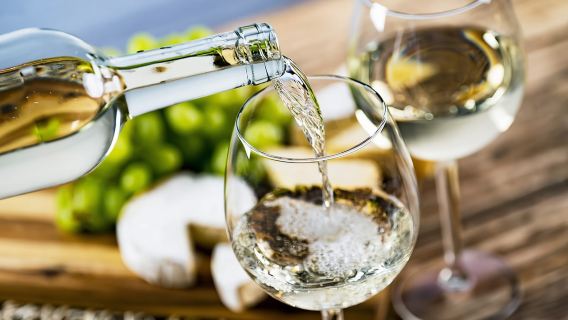 Durres Countryside Vineyards Wine Tasting & Food Pairing