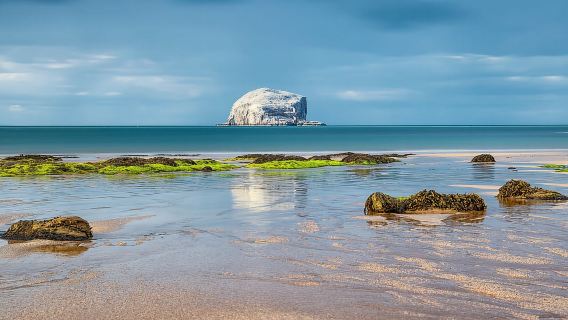 Da Edimburgo: gita di un giorno a East Lothian Sands & Castles