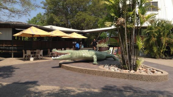 Darwin: Cá sấu nhảy nguyên bản của Nữ hoàng sông Adelaide