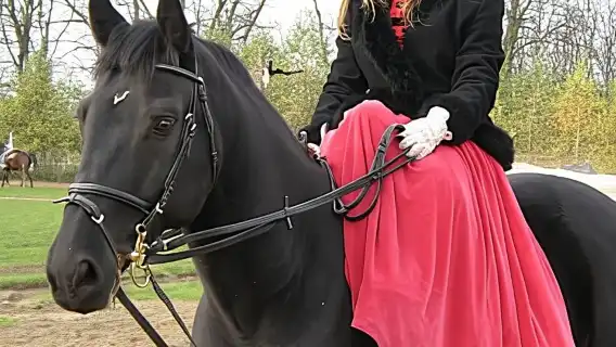 From Budapest: Gödöllő Royal Palace Tour