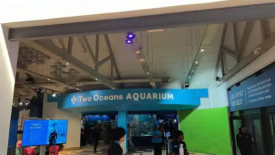 ทัวร์ส่วนตัวชมนกและชิมไวน์ Two Oceans Aquarium World