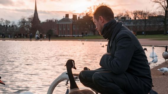 London City Pass: principales atracciones, autobús turístico y tours