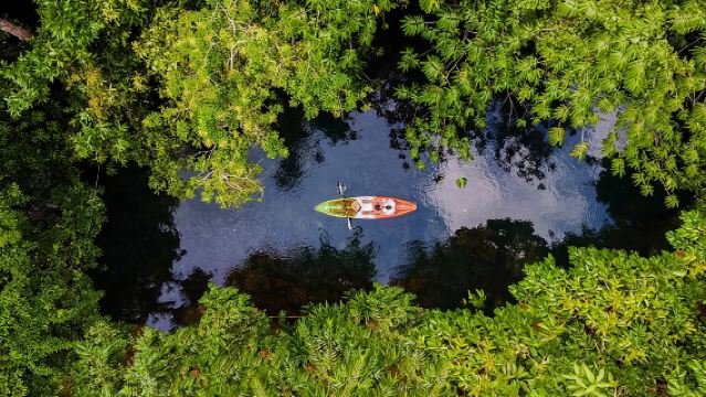 ทัวร์พายเรือคายัคในป่าชายเลน | มานูเอล อันโตนิโอ