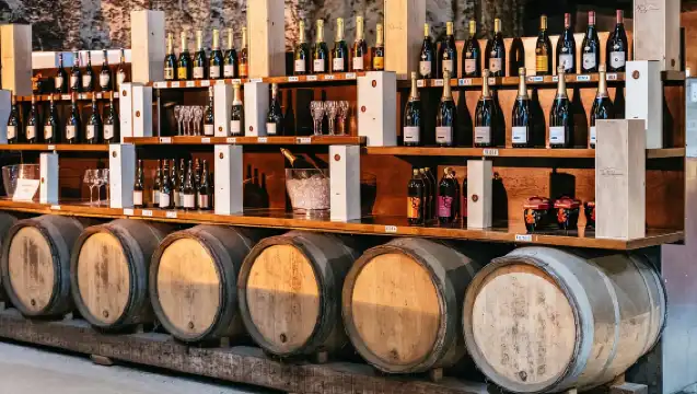 從巴黎出發：勃根地地區酒莊品酒之旅