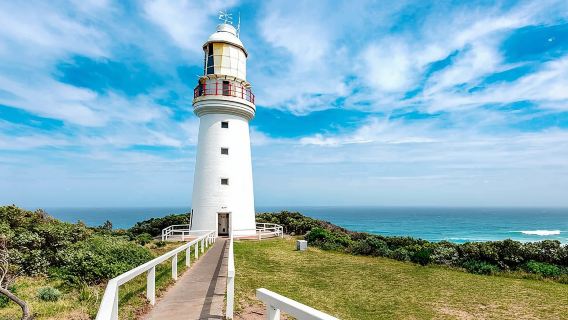 Melbourne Twelve Apostles Great Ocean Road 1-day tour[Amazing Coastal Highway Tour - English-Speaking Tour]