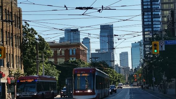 加拿大+多倫多大學+國家電視塔一日遊/行程可調-可定制