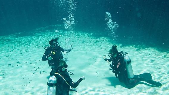 Cenote diving adventure day tour - Cancun to Tulum round-trip private charter with Chinese/English speaking driver