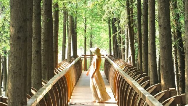 官渡古鎮+撈漁河濕地公園+鬥南濕地公園+海晏村一日遊：私家團