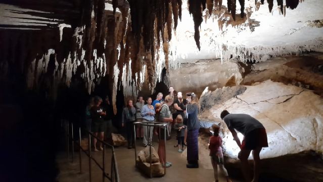 Nuova Zelanda: Tour della Grotta delle Lucciole della Via Lattea