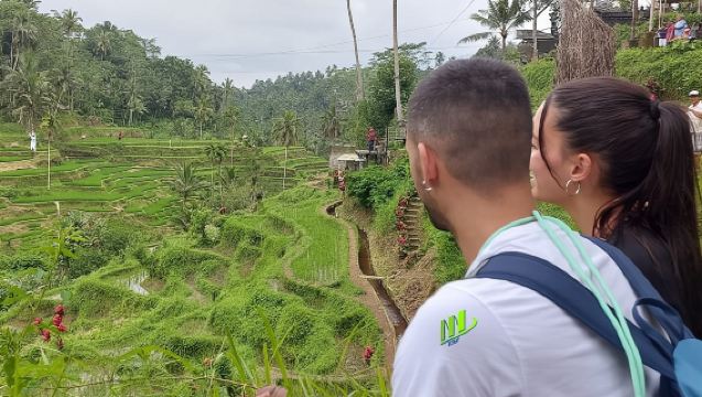 Tour di Ubud di 8 ore con noleggio con conducente esclusivo