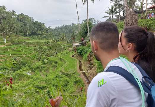 Private Charter 8 Hours Ubud Tour