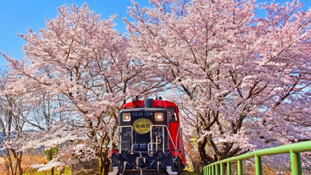 [Osaka/Kyoto Departure] Kyoto Day Tour | Arashiyama + Kifune Shrine + Sanzen-in (Optional Sagano Romantic Train | Seasonal Sakura Viewing)