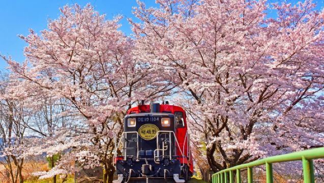 日本京都三千院+貴船神社+嵐山一日遊【13人團含嵯峨野往返小火車|可選酒店上門接送|華人司機|純玩無購物|櫻花季賞櫻】