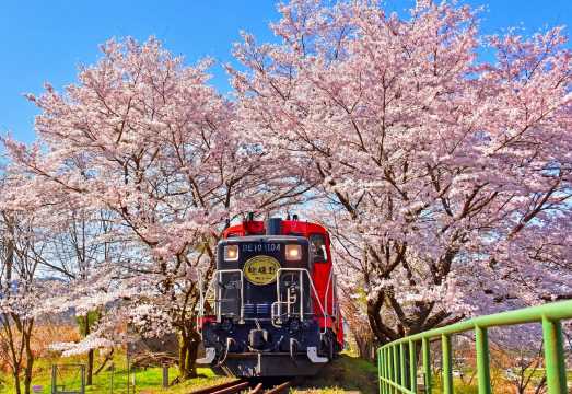 [Osaka/Kyoto Departure] Kyoto Day Tour | Arashiyama + Kifune Shrine + Sanzen-in (Optional Sagano Romantic Train | Seasonal Sakura Viewing)
