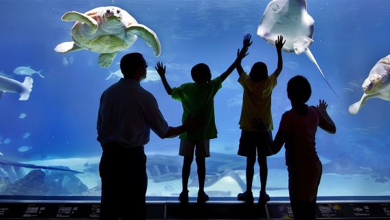 Go City Philadelphia: Explorer Pass