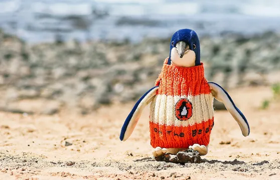 安心遊#墨爾本普芬比利蒸汽火車+菲利普島一日遊