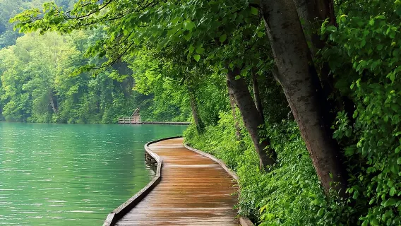 La Slovenia in un giorno: Lago di Bled, Grotte di Postumia e Castello di Predjama