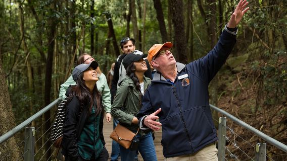 Kleines All-Inclusive-Angebot in den Blue Mountains: Scenic World, Mittagessen, Koalas, Fähre