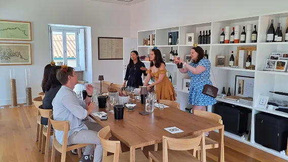 Tour privado al impresionante valle del Duero y a sus bodegas más renombradas.