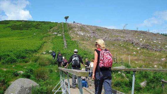 Lawatan Kumpulan Kecil Dublin ke Wicklow, Glendalough dengan Berjalan Berpandu
