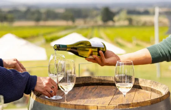 墨爾本普芬比利蒸汽火車+亞拉河谷LV酒莊一日遊【中文司導】