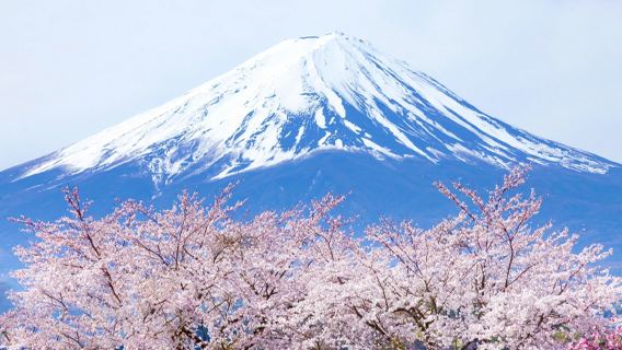 Excursion d'une journée à Tokyo au Japon avec les deux lacs du mont Fuji / Croisière en bateau cygne ou bateau-bus / Service en chinois optionnel