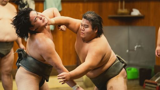 東京晴空塔附近相撲晨練:與力士合照 東京晴空塔附近相撲晨練:與力士合照