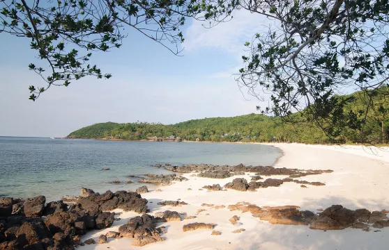 塔魯島全天共享體驗（含午餐）