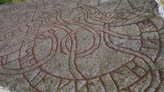 Uppsala walking tour to the runestones