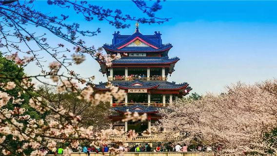 Wuxi Taihu Yuantouzhu Scenic Area + Lingshan Giant Buddha + Li Garden + Li Garden - Lotus Pond + Lingshan Buddhist Scenic Spot one-day tour