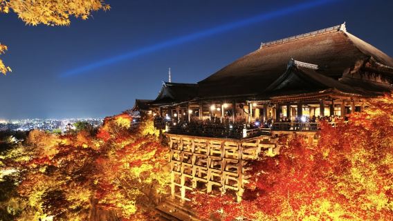 日本京都伏見稻荷大社-清水寺-平安神宮【中文專車 舒適純淨】