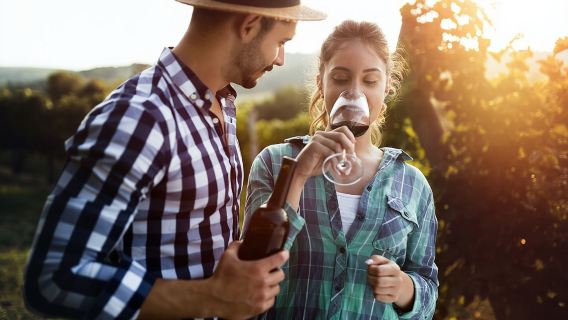 1-day tour of Sydney's Hunter Region [Winery Tasting/Including Lunch/Gourmet Wine & Food Experience]