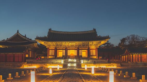 Seoul Night Palace & Market Food Tour (Vehicle Included)