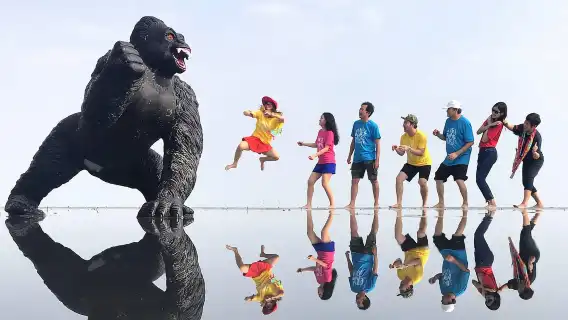 天空之境+猴子山+海上老鷹+螢火蟲+藍眼淚船票