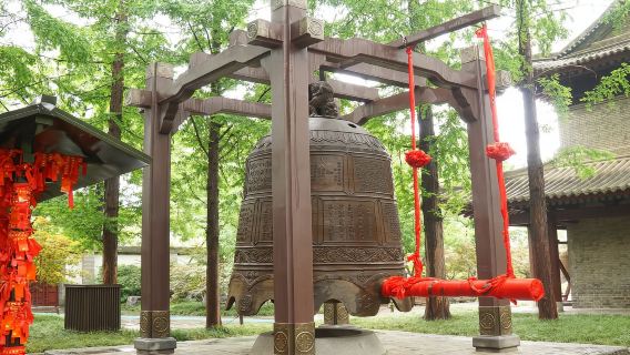 大慈恩寺+大雁塔+西安博物院+小雁塔遺址公園+回民街*純玩