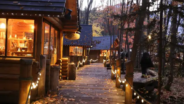 【駕駛】旭山動物園、青池、白須瀑布、寧格爾露台（從札幌出發）
